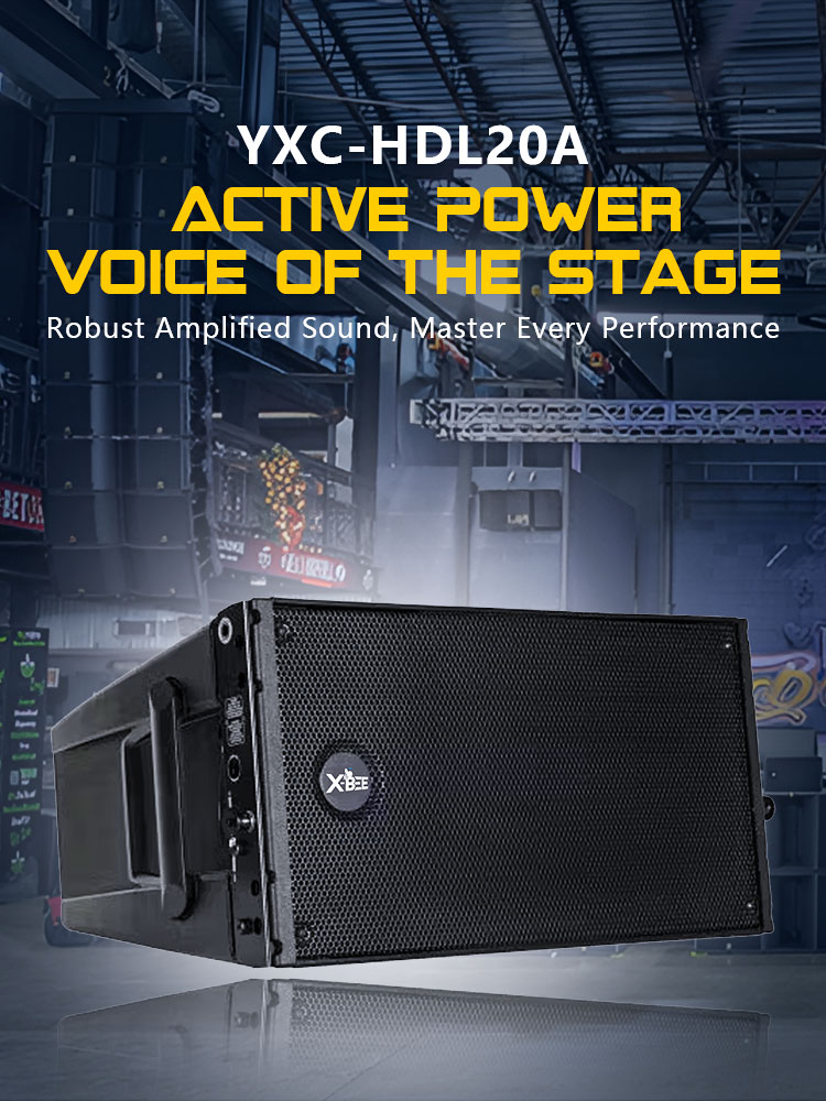 HDL20 Active DSP line array dual 10 inch