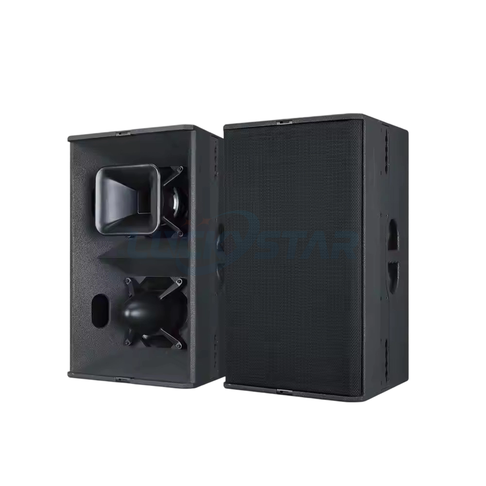 X-BEE T24N Stage Audio