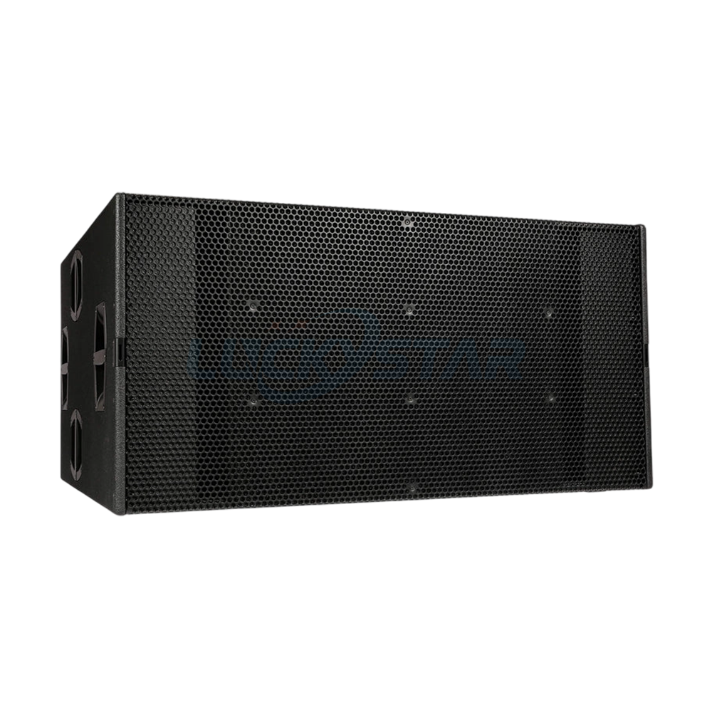 X-BEE Stage Audio — Model B22